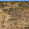 4000-year-old, UK-sized network of termite mounds discovered in Brazil