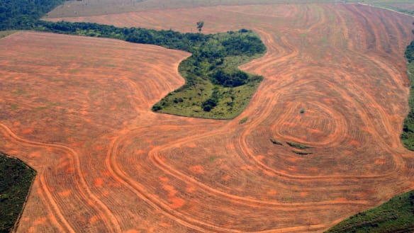 Brazil cancels hosting climate change summit