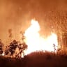 People refuse to leave homes amid Queensland fire