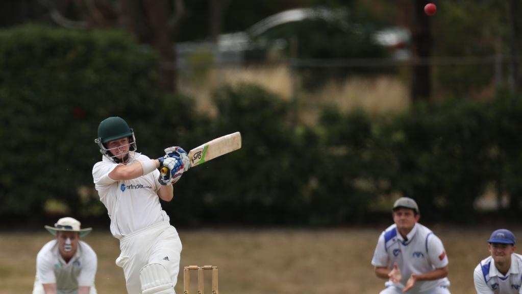 Box Hill opener Tom Haynes plays a hook shot on Saturday. Picture: Stuart Milligan