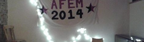 AFEM 2014 anarcafeminist conference banner at LARC in London