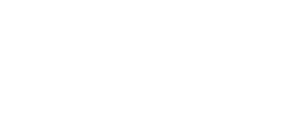 Postal Pro Logo