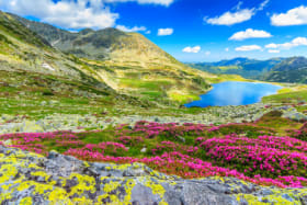 Retezat National Park, Carpathians, Romania, Europe