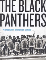 The Black Panthers Book