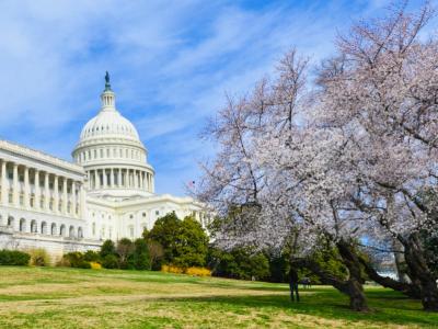 US Capitol Building