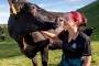 The positive face of dairying - Donna McKinley, a winner of the Dairy Trainee award at the Dairy Industry Awards's ...