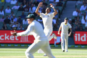 Mitchell Starc despairs after Tim Paine dropped Virat Kohli on 47.