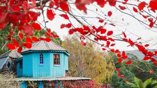 Ready to flee the mainland? Cute Tasmanian homes under $500,000