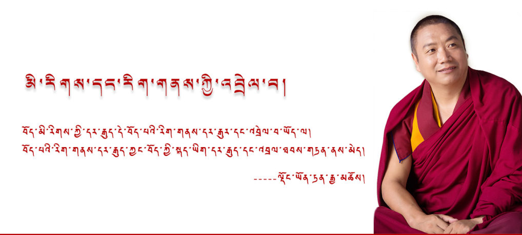 ལྡོང་ཡོན་ཏན་རྒྱ་མཚོ་མཆོག་ངོ་སྤྲོད།