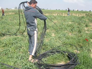 removing the irrigation pipes