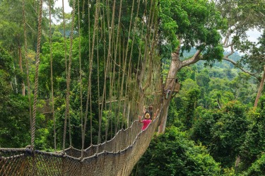 KAKUM CANOPY WALK, GHANA
Kakum is Ghana's most-visited national park, preserving coastal rainforest especially noted for ...