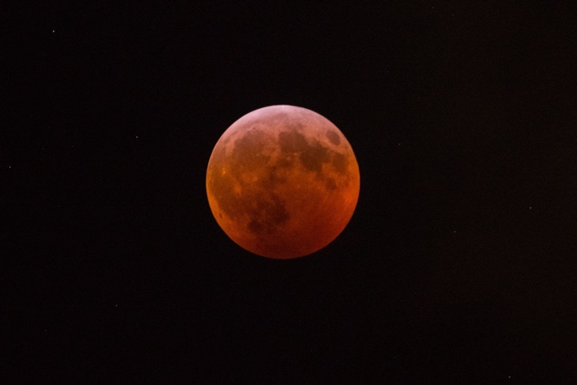 Photos, Video: Super Blood Wolf Moon Eclipse Was Super Awesome