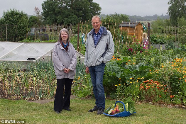 Pat McDonaugh (left, with treasurer Mr Manning), 73, shares an allotment with her brother and sister which they inherited from their father who had it the 1950s