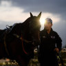 Champion mare Winx is paraded after trackwork on Thursday morning.