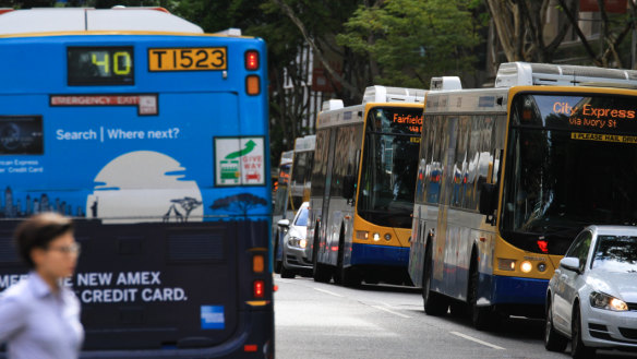 Greens MP Michael Berkman is calling for public transport to be free for Queensland children.