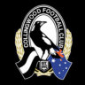 Picture supplied.  Picture shows the Collingwood Football Club logo, against a black background.