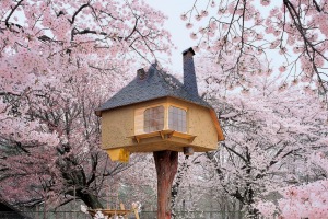 Treehouse Tetsu in Kiyoharu Art Village in Hokuto, Japan.