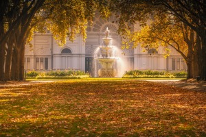 Carlton Gardens, Melbourne: Bitterly disappointing