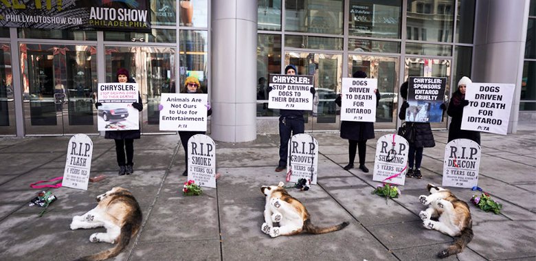 dog graveyard chrysler iditarod protest