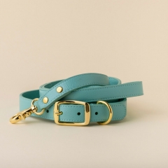 Premium Leather Dog Collar - Aqua