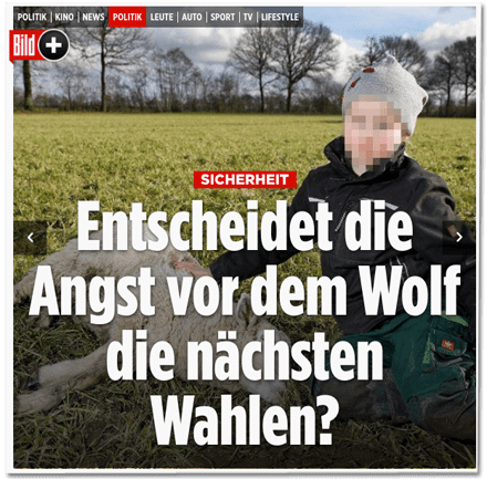 Screenshot Bild.de - Sicherheit - Entscheide die Angst vor dem Wolf die nächsten Wahlen?