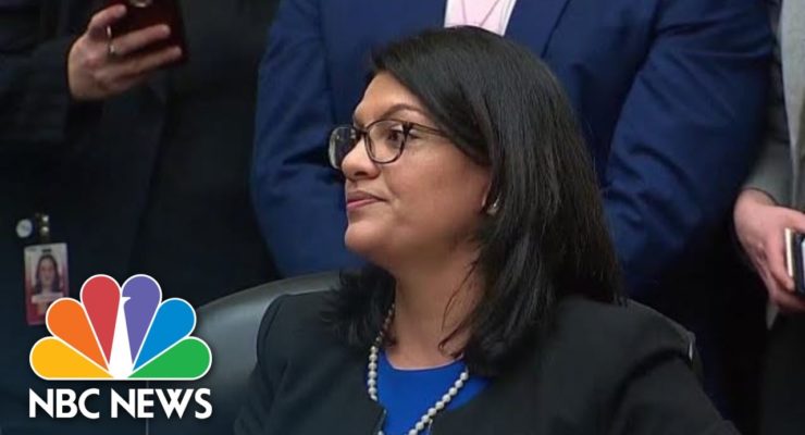 Racism v. Racist:  Why Brenda Lawrence and Rashida Tlaib are Right