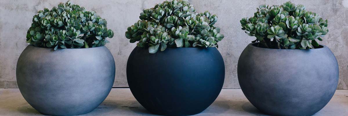 designer-garden-pots