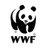 WWF 🐼