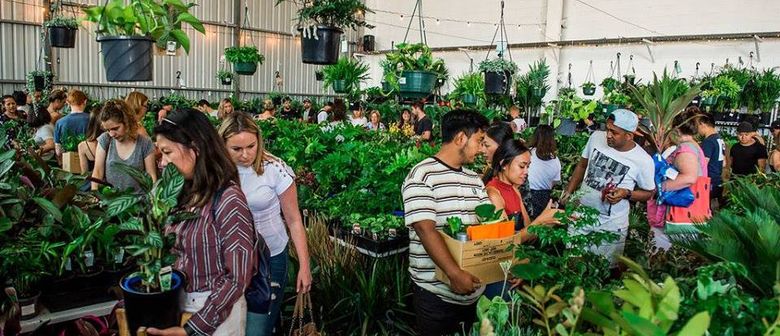 Rare Plant Party En Blanc