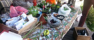 Transition Darebin Food Swap