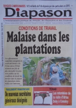 Le regard de la presse camerounaise sur les conditions difficiles dans les plantations de la Socapalm!