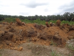 Suite du conflit foncier opposant la Socapalm aux populations du village Pongo-Aviation à Kienké (Kribi)