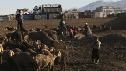 Explosions target Shiite shrine in Kabul: official