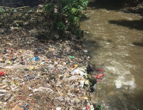 A Review of the Impacts, Causes, and Mitigation Efforts Towards Plastic Waste in Indonesian Coastal Environments