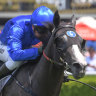 Picture perfect: Kerrin McEvoy pushes Tenley to the line in the Pierro Plate.