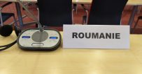 Reuniunea Comitetului Director pentru Tineret 