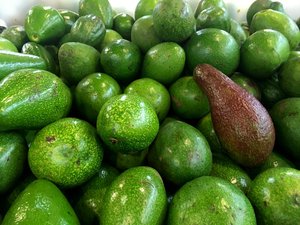 Avocado fruits at a market. Taken on June 2017.