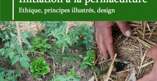 Initiation à la permaculture à Evreux (27)