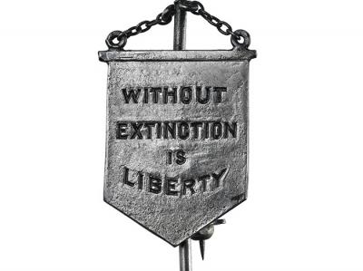 pin without extinction is liberty