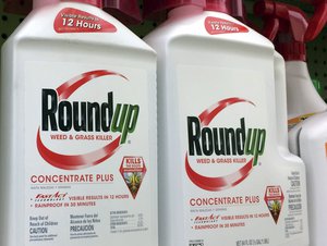 FILE - This Jan. 26, 2017, file photo shows containers of Roundup, a weed killer made by Monsanto, on a shelf at a hardware store in Los Angeles.