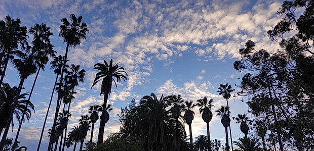 Located close to Sunset Boulevard in LA?s Eastside can be found the lovely Echo Park, a small public space dominated by a large lake.