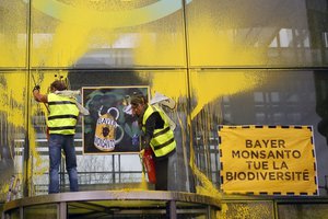 French activists of Attac spray-paint the Paris headquarters of Bayer AG to protest its production of environment-damaging pesticides in la Garenne Colombes, suburb of Paris, Thursday, March 14, 2019.