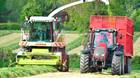 Plan ahead to cut your silage costs