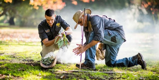 Aboriginal Heritage Walk | Royal Botanic Gardens