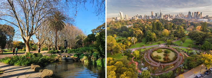 After-work walks in Melbourne