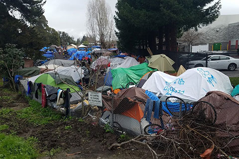 City of Santa Cruz to Move Forward on Transitional Homeless Encampments