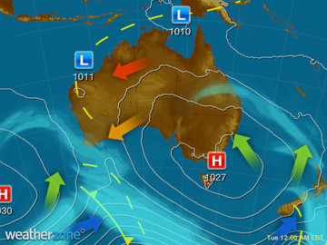 synoptic