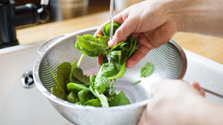 Por que você sempre deveria lavar a salada ‘pronta para