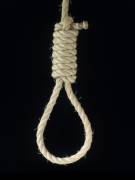 Noose of the Day