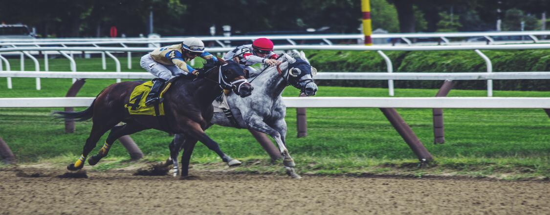 two horses racing at racecourse